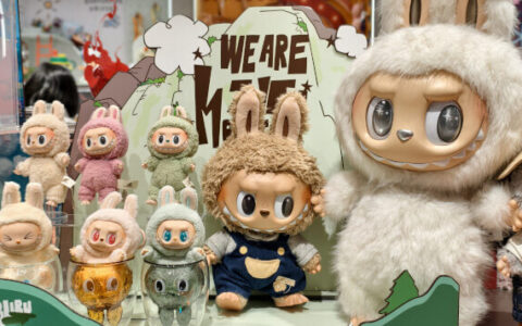 Labubu Mania: How a Forest Elf Became a Million-Dollar Collectible