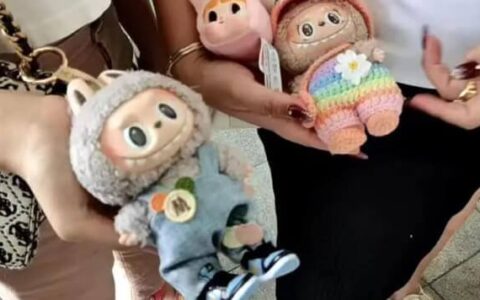 Labubu's Meteoric Rise: Unboxing the Opportunities Behind the Craze