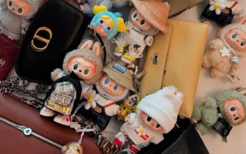 Labubu Takes the World by Storm: The Global Rise of Chinese Designer Toys